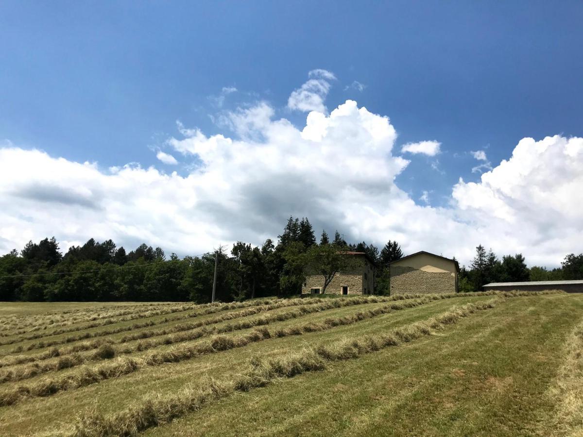 Agriturismo Il Casone San Benedetto Val di Sambro Ngoại thất bức ảnh