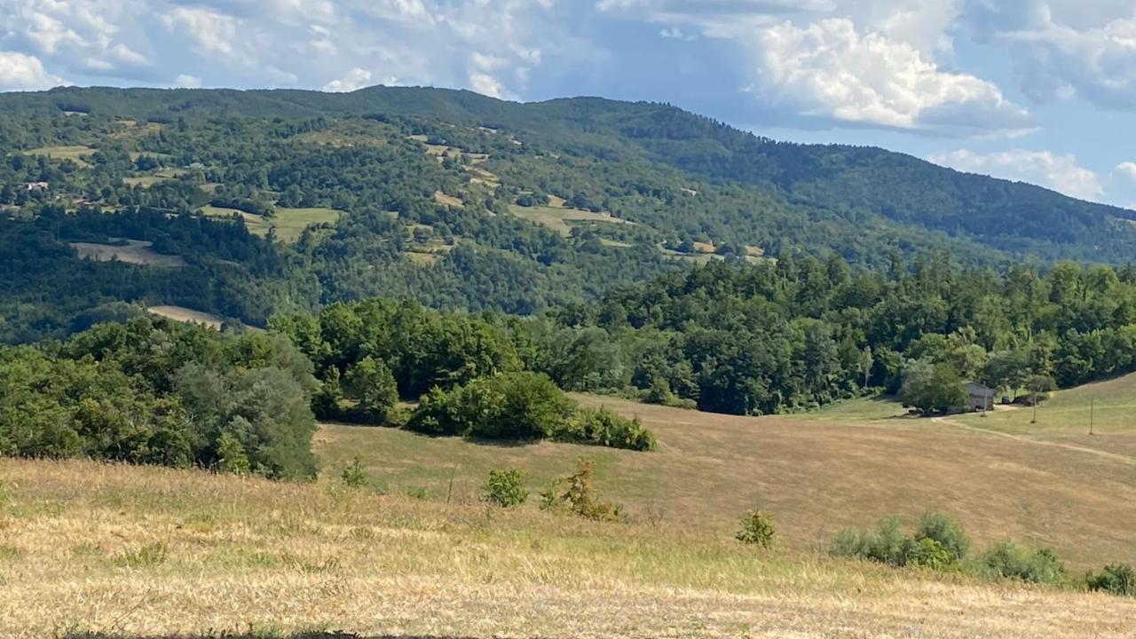 Agriturismo Il Casone San Benedetto Val di Sambro Ngoại thất bức ảnh