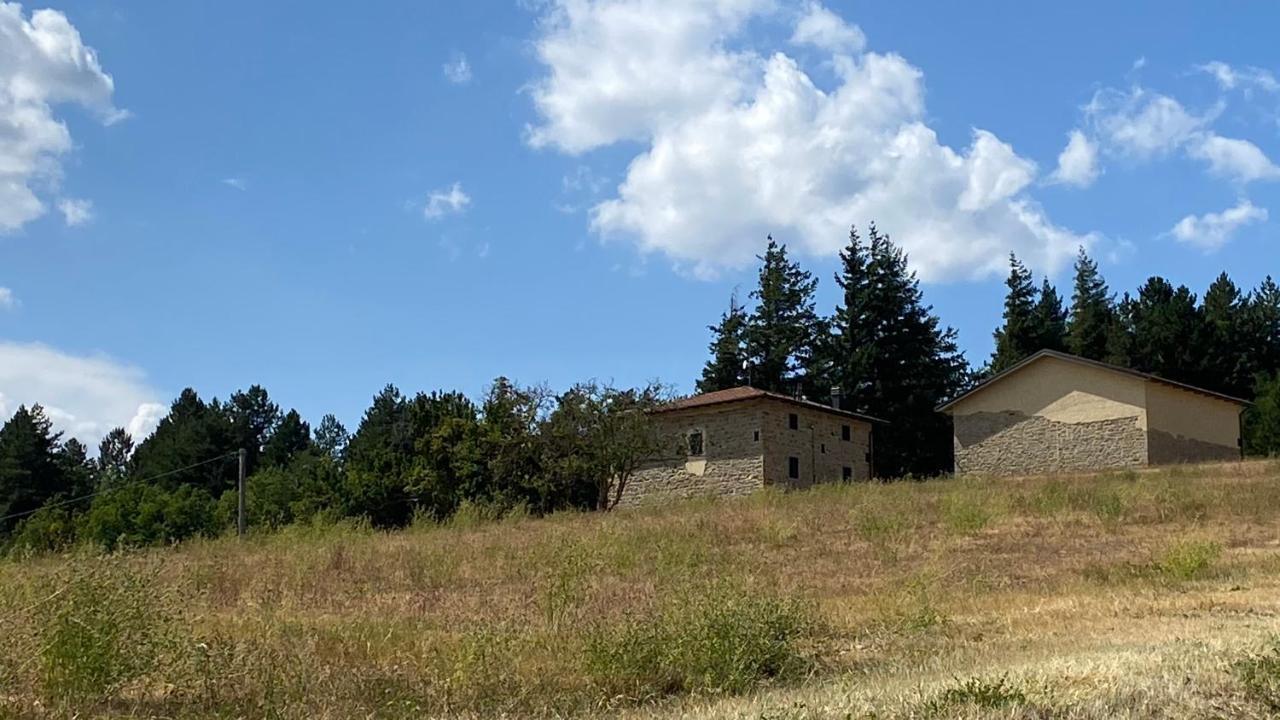 Agriturismo Il Casone San Benedetto Val di Sambro Ngoại thất bức ảnh